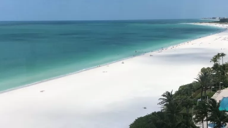 Orchid beach Club Lido Key 4